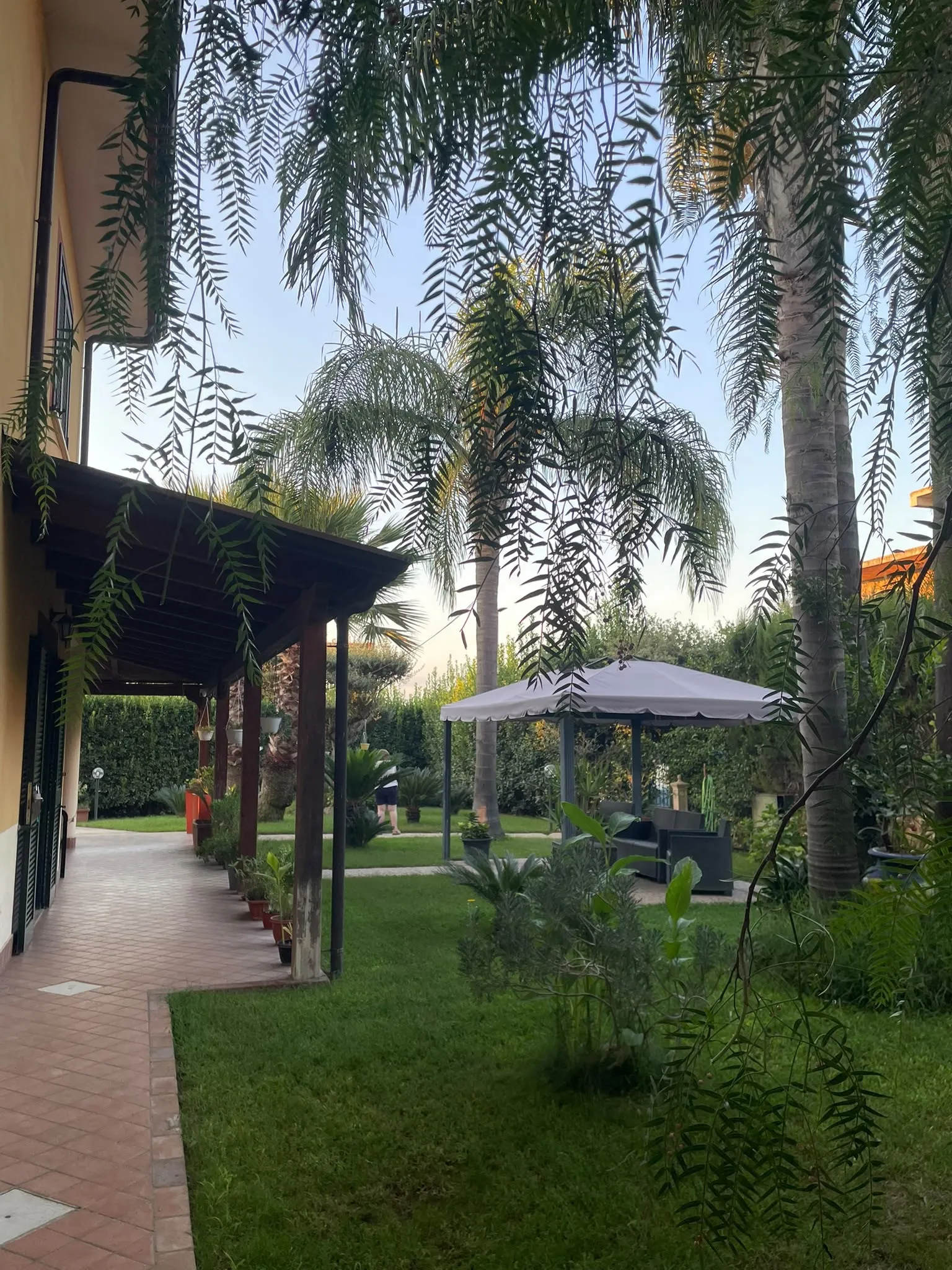 Il giardino della Dimora: il porticato, il prato, le palme e il gazebo con i divanetti