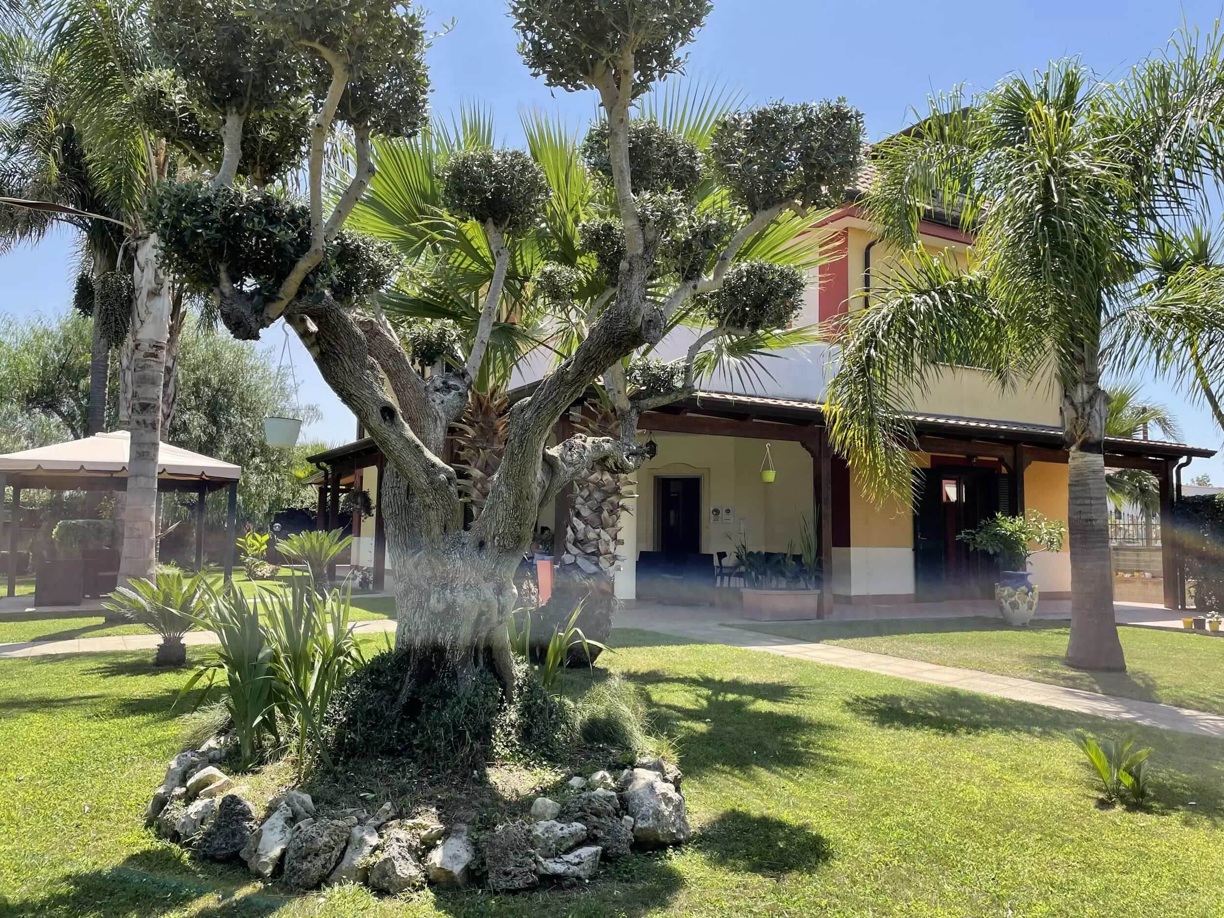 Il giardino della Dimora con l’ulivo secolare, le palme e il porticato della villa